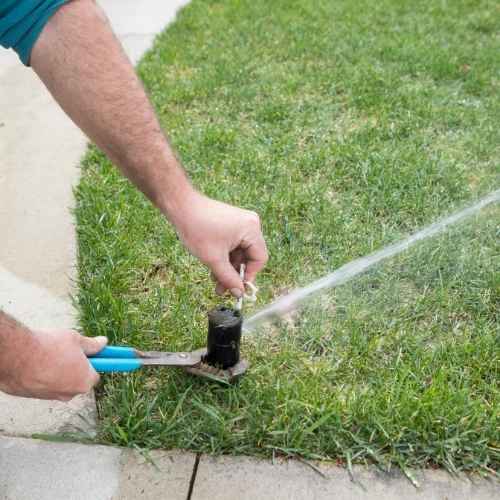 Sprinkler Maintenance